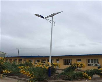 農(nóng)村太陽(yáng)能路燈-甘肅定西渭源縣太陽(yáng)能路燈項(xiàng)目