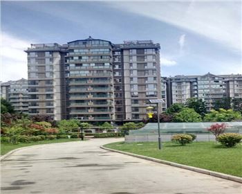 太陽能殺蟲燈-陜西省西安市曲江南湖小區(qū)路燈項(xiàng)目