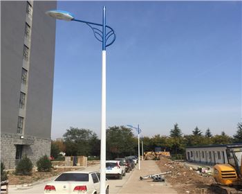 寧夏市電路燈-寧夏省西安市西北大學(xué)長安校區(qū)路燈工程